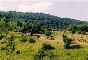 روستای برسه (ارتفاعات دوهزار)