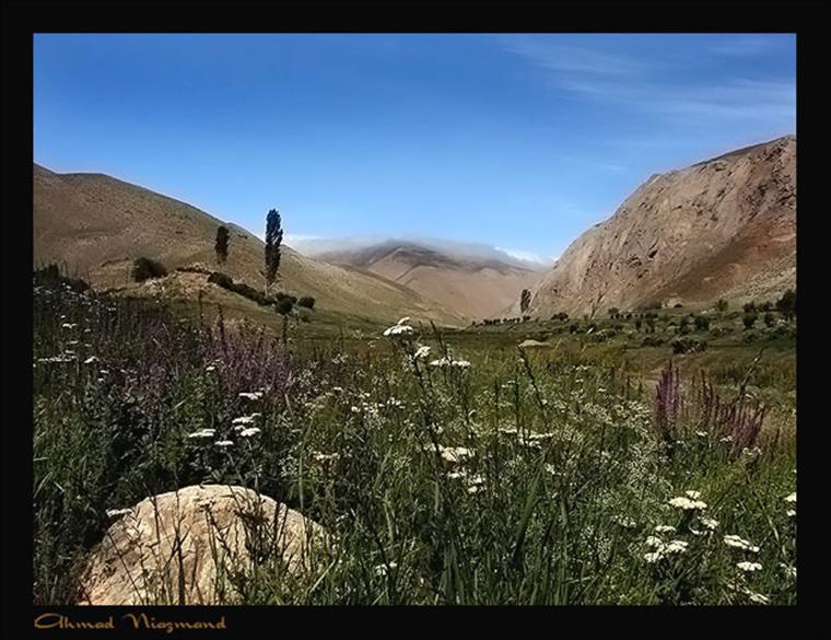 در گلستانه ...