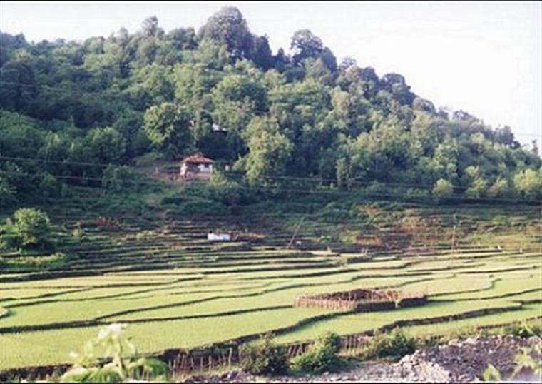 اطاقور-روستای لیل