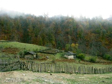 جایی برای زندگی...