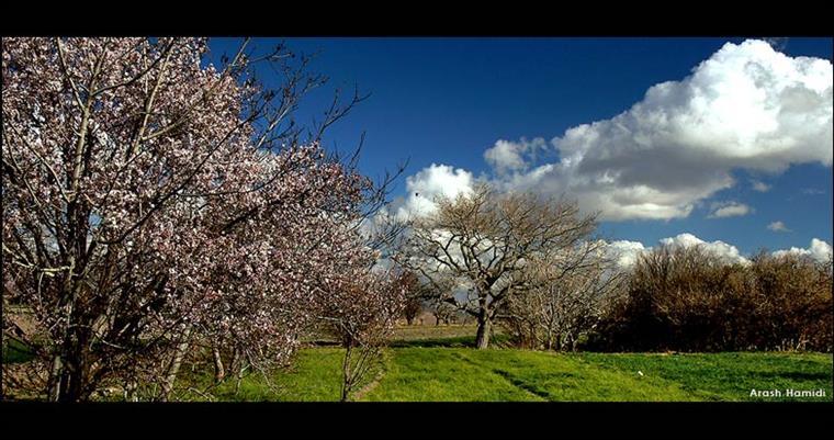 باغ زعفران بیرجند