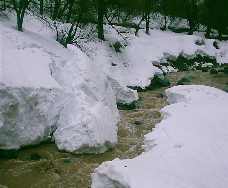 بهمن شکسته